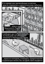 2013-05-ru-Rat-Park-19.png