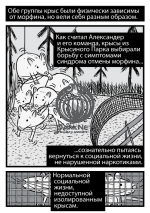 2013-05-ru-Rat-Park-28.png